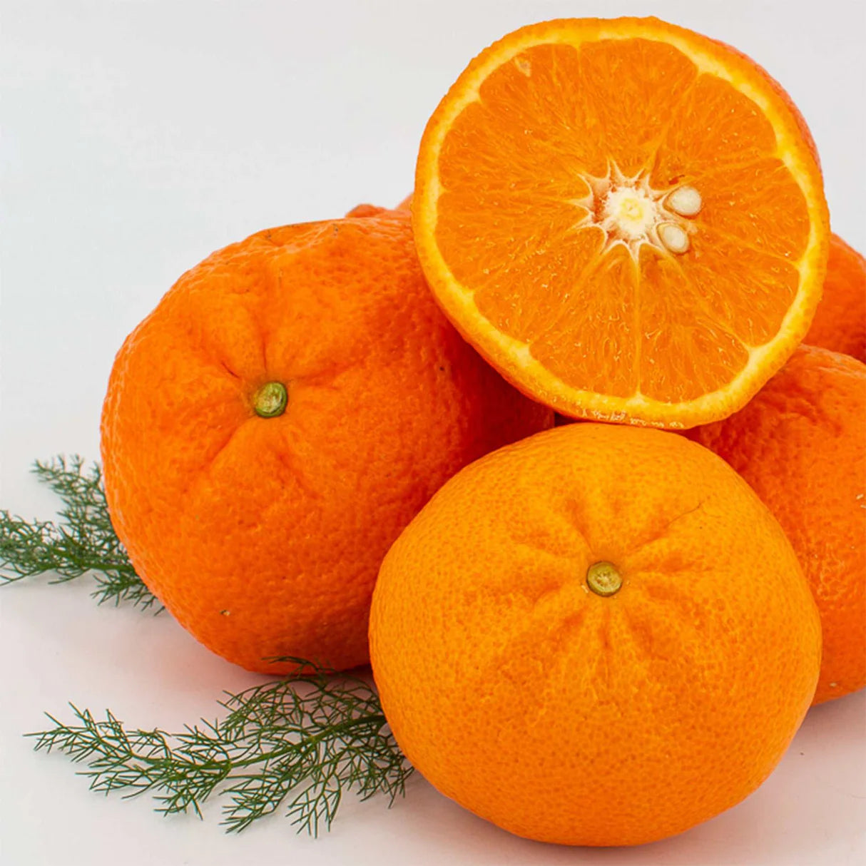 Tangerine Ortanique